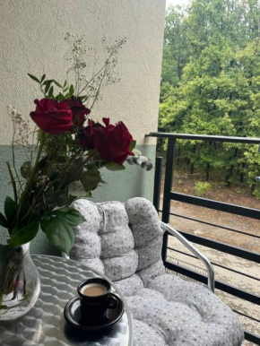 Apartman Sanja 2
